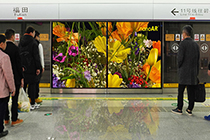 光子芯片透明屏應(yīng)用商業(yè)顯示