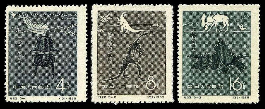 光子科技賦能世界恐龍博物館，AR全息顯示再現(xiàn)侏羅紀(jì)時(shí)代